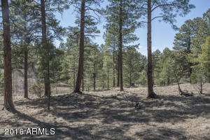 MLS 5410568 1884 E Sleeper Hollow Court Lot 135, Flagstaff, AZ Flagstaff AZ