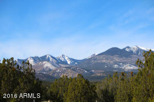 MLS 5409992 20372 N Medicine Valley Road Lot 00, Flagstaff, AZ Flagstaff AZ