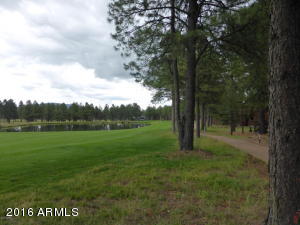 MLS 5417628 4610 W BRAIDED REIN -- Lot 15, Flagstaff, AZ Flagstaff AZ
