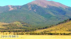 MLS 5473449 Lot 16 Condor Road Lot 16, Flagstaff, AZ Flagstaff AZ